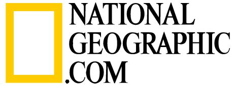 Nat Geo Logo Vector PNG, Report (5.35 Kb) Free PNG | HDPng