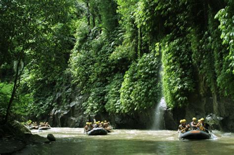 √ 5 Facts about Ayung River, White Water Rafting Spot in Ubud