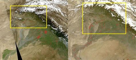 What’s causing untimely forest fires in Kashmir? Prolonged dry spell