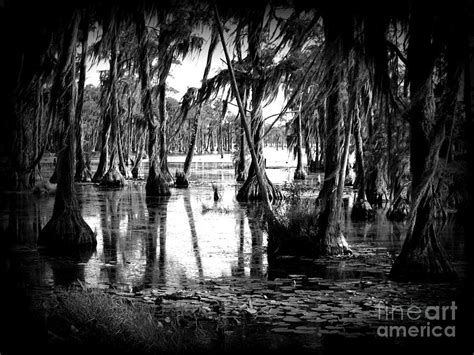 Spooky Swamp Photograph by Christopher Crews