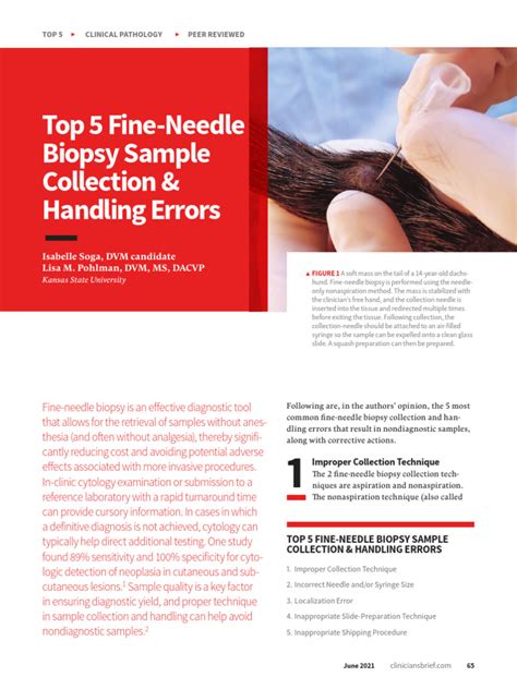 Top 5 Fine-Needle Biopsy Sample Collection & Handling Errors | PDF ...