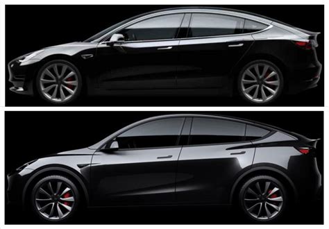 Tesla Model Y & Model 3 Visual Comparison — Side by Side, Morphing ...