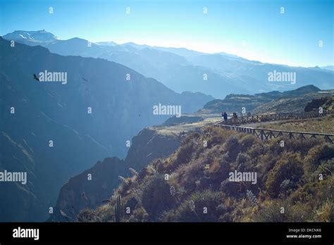 Tourist photographing condors, Colca Canyon, Peru Stock Photo - Alamy