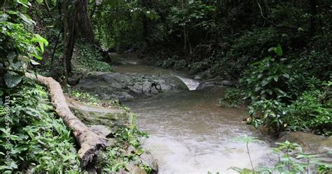 Tagbo Falls tropical rainforest river Ghana Africa. Waterfall Mount Afadjato, Ghana highest ...