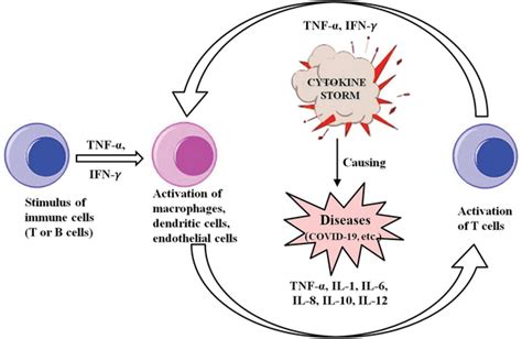 Proposed mechanism of cytokine release syndrome. | Download Scientific ...