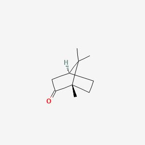 Camphor | C10H16O | CID 444294 - PubChem