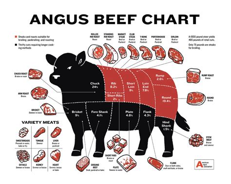 Beginner's Guide to Beef Cuts, Angus Beef Butcher Chart Laminated Wall ...