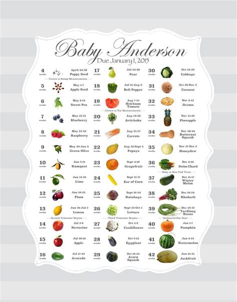 19 best Baby Size Charts and Timelines images on Pinterest | Pregnancy ...