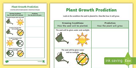 Plant Growth Prediction Worksheet (teacher made) - Twinkl