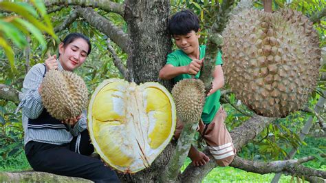 Giant fresh durian from the tree - amazing 2 recipes with big durian ...