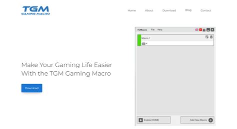 TGM Gaming Macro: A Comprehensive Guide - Smular