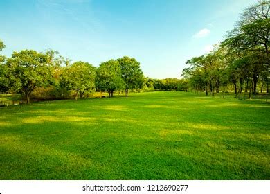 Bright Summer Sun Illuminates Park Covered Stock Photo 1011709045 | Shutterstock