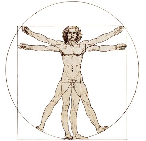 Leonardo Da Vinci Vitruvian Man Golden Ratio