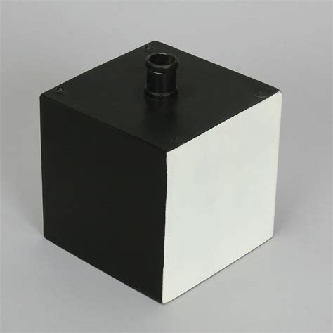 Leslie's Cube | Carolina.com