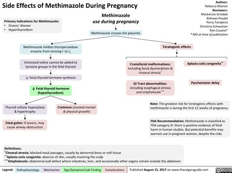 Side Effects of Methimazole During Pregnancy | Calgary Guide