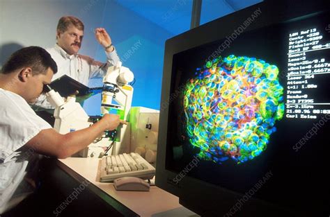 Cryogenics research - Stock Image - C001/5614 - Science Photo Library