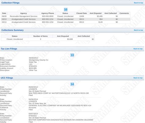 How to Decipher Your Business Credit Report: An In-Depth Guide