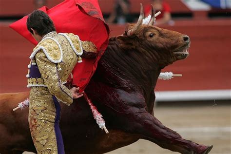 Las corridas de toros seguirán en vigencia | Noticias | Diario Oficial ...