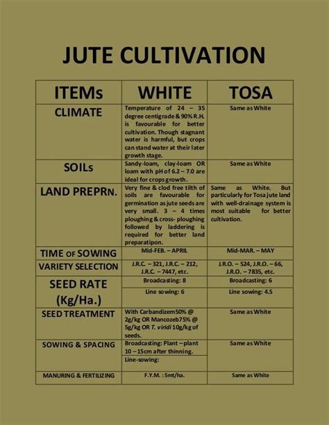 JUTE CULTIVATION