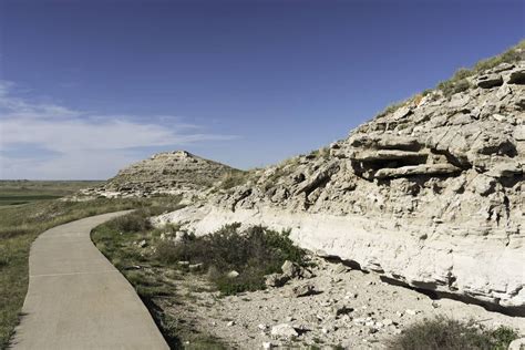 Dinosaurs That Lived in Nebraska (And Where to See Fossils Today) - A-Z Animals