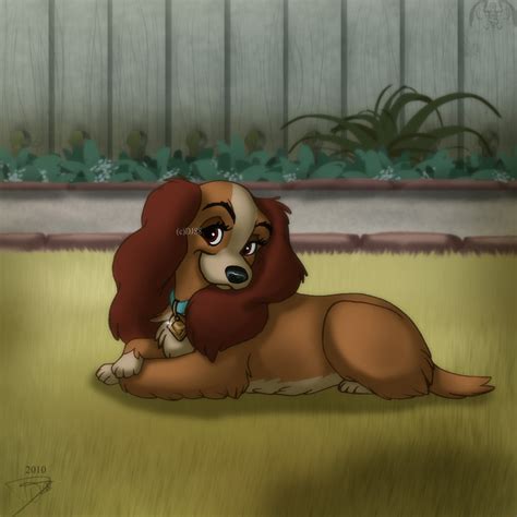 lady and the tramp - Lady and Tramp Fan Art (32588715) - Fanpop