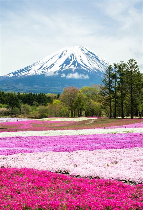 Yamanashi | Tokai | Destinations | Travel Japan - Japan National ...