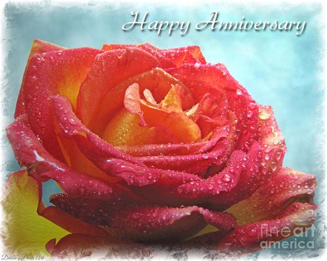 Recklessly: Happy Anniversary Roses Images