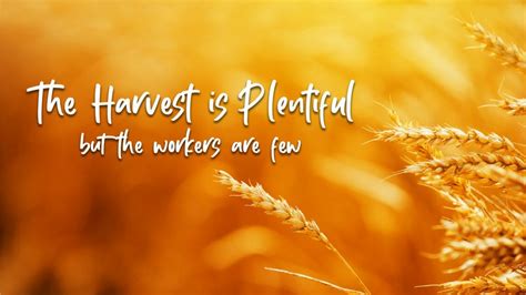 The Harvest is Plentiful but the Workers are Few - Training Authors with CJ and Shelley Hitz