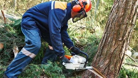 10 Tree Cutting Techniques - Mogul