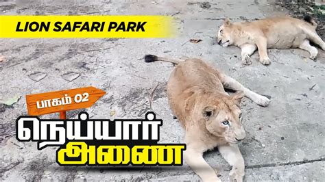 நெய்யார் அணை | Exploring Neyyar Dam & Lion Safari park Episode - 02 | One day trip | Kerala ...