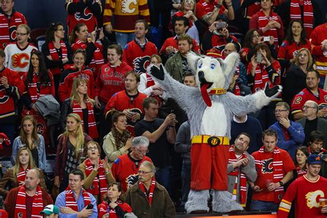 Calgary Flames Mascot Harvey The Hound / 90 Calgary Flames Mascot Jalur Ilmu - Introduced in ...