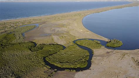 Mangrove Conservation Can Help Countries Meet Emissions Reduction Goals | The Pew Charitable Trusts