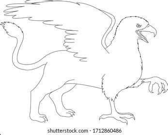 Mythical Creature Griffin Sketch Outline Stock Vector (Royalty Free) 1712860486 | Shutterstock