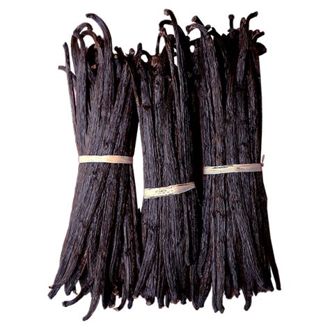 Buy Organic Vanilla Beans