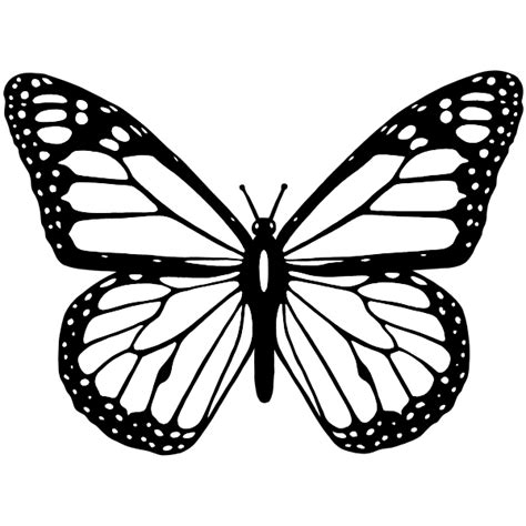 Vector clip art of black and white butterfly with wide spread wings ...