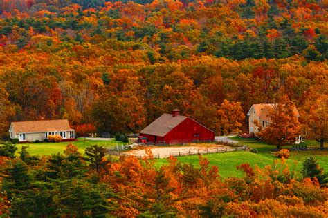 Download Fall Tree Forest Country House Man Made Barn HD Wallpaper