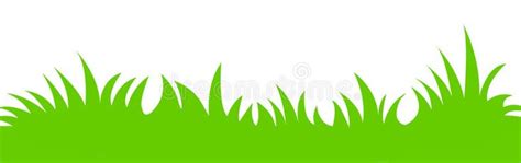 Grass vector. Green grass illustration isolated white background ...