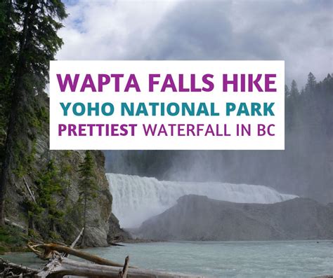 Wapta Falls Yoho National Park Beautiful Hike in British Columbia