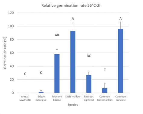 Organic Soil Disinfestation Methods-Soil Solarization and Biosolarization | Organic Farmer Magazine