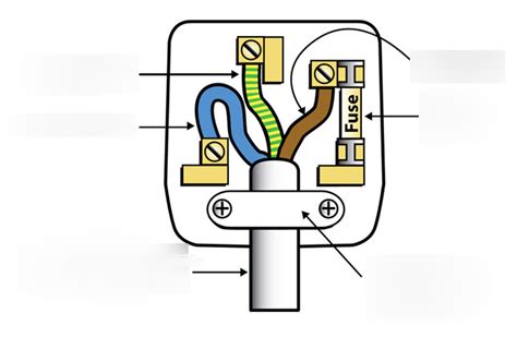 Wiring a plug Diagram | Quizlet