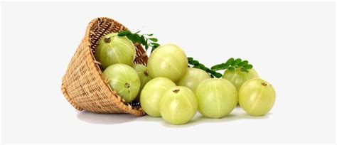 Emblica Officinalis Fruit Extract - інгредієнт косметичний, опис та застосування | LANTALE