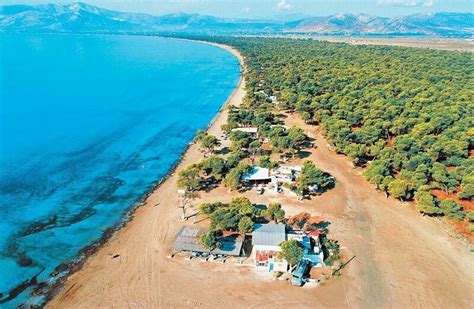 Schinias beach @ Nea Makri, Attiki | Visiting greece, Attica greece, Athens