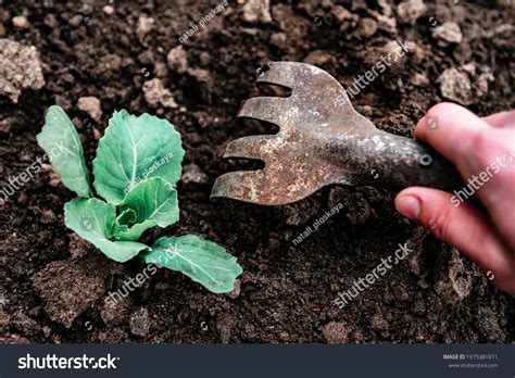 4,087 Loosen The Soil Images, Stock Photos & Vectors | Shutterstock