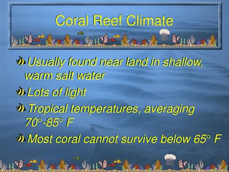 PPT - The Coral Reef Biome PowerPoint Presentation - ID:53453