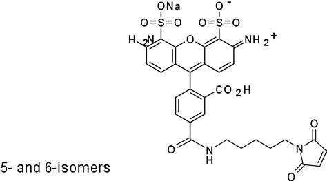 Alexa Fluor 647 Maleimide Molecular Weight | Blog Dandk