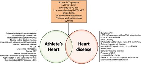 Athlete’s Heart: Diagnostic Challenges and Future Perspectives ...