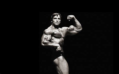 Arnold Schwarzenegger Wallpapers - Top Free Arnold Schwarzenegger Backgrounds - WallpaperAccess