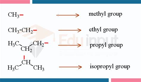 9 Examples of Alkyl Group