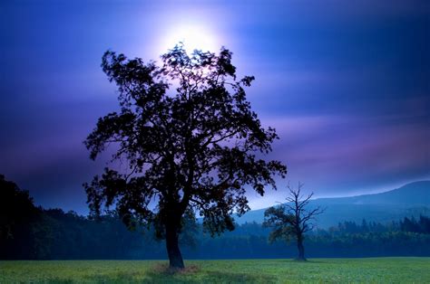 Field Night Tree Moon Sky Mountains - [1920 x 1274]