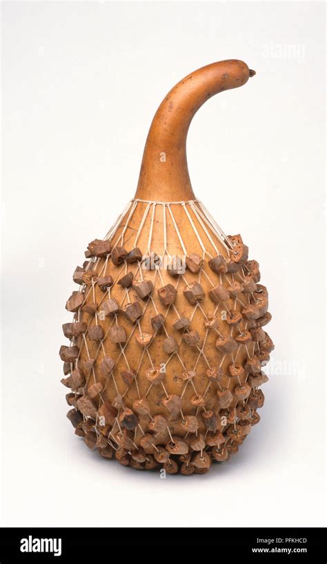 Shekere, African percussion instrument carved out of a gourd, close-up Stock Photo - Alamy